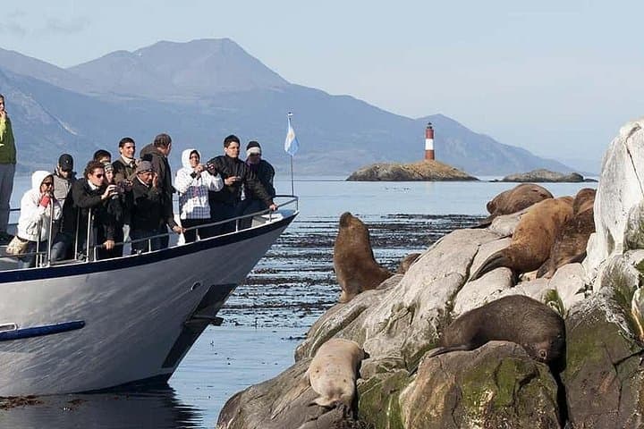 Beagle Channel Catamaran Cruise from Ushuaia: Les Éclaireurs & Sea Lions