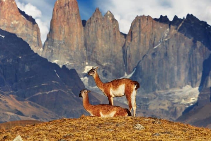 Classic W Circuit: 5-Day Self-Guided Trek in Torres del Paine photo 6