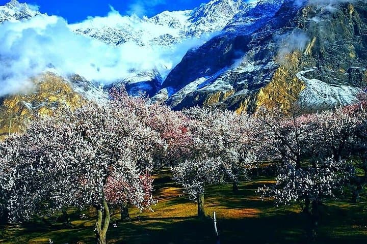 Cherry Blossoms of Gilgit-Baltistan: 8-Day Hunza & Northern Pakistan Spring Tour