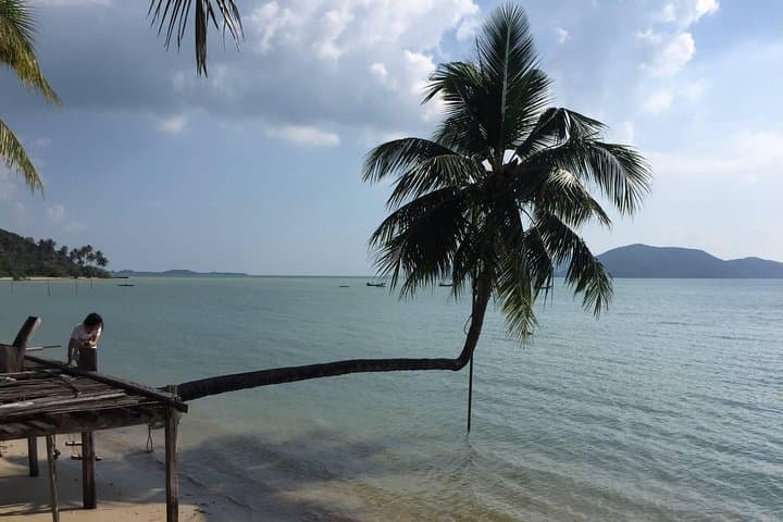 Essence of Samui Private Shore Excursion from Nathon Port — Big Buddha, Hin Ta Hin Yai & Beach Lunch photo 3