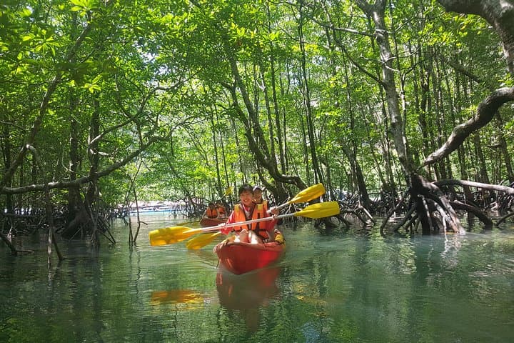 Kilim Mangrove Kayak Tour Langkawi — 5-Hour Guided Mangrove Adventure photo 4