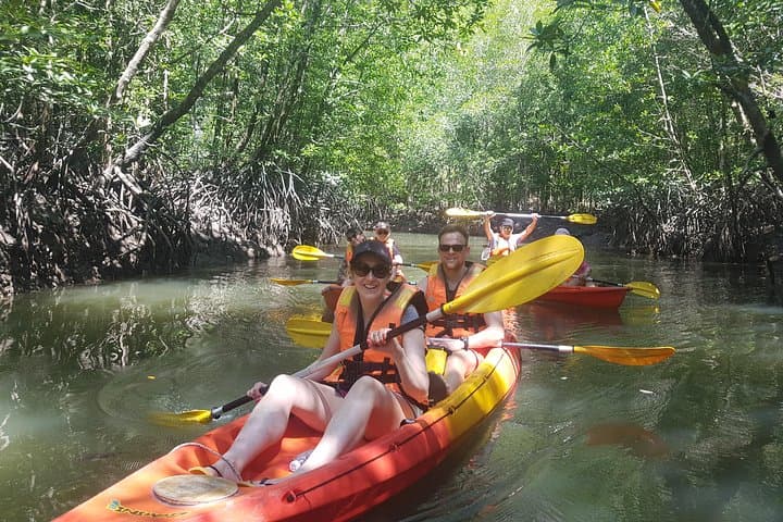 Kilim Mangrove Kayak Tour Langkawi — 5-Hour Guided Mangrove Adventure photo 5