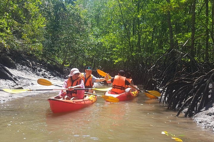 Kilim Mangrove Kayak Tour Langkawi — 5-Hour Guided Mangrove Adventure photo 6