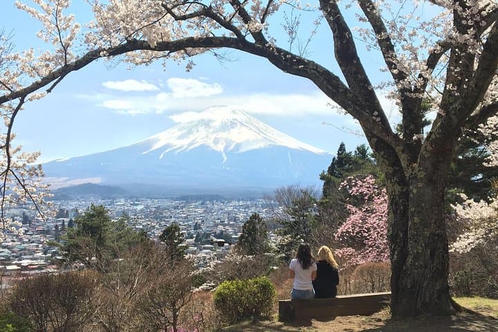 Private Kawaguchiko Hidden-Gems Tour — English-Speaking Local Driver & Mt. Fuji Views photo 3