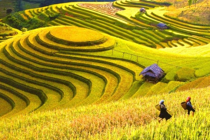 4-Day Mu Cang Chai Trek: Rice Terraces, Khau Pha Pass & Hmong Villages photo 4