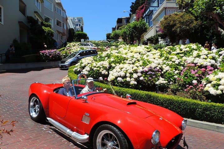Private Muir Woods, Sausalito & Golden Gate Tour — Morning or Afternoon photo 4