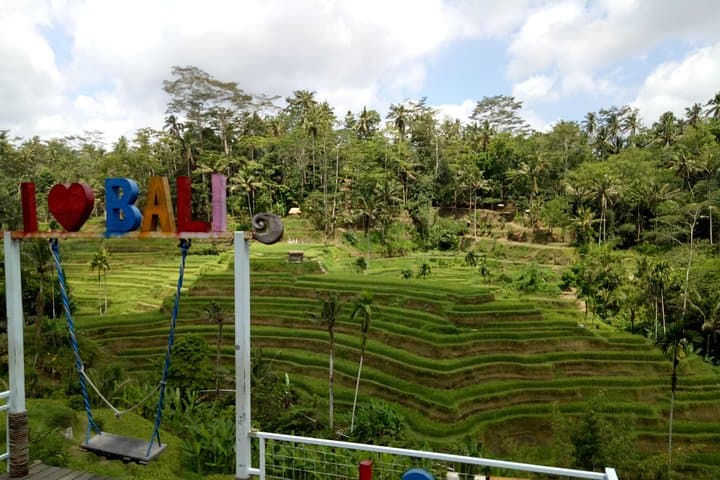 Ayung River Rafting & Ubud Highlights: Rapids, Rice Terraces and Monkey Forest photo 5