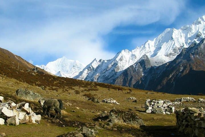 9-Day West Langtang Tamang Heritage Trek from Kathmandu photo 3