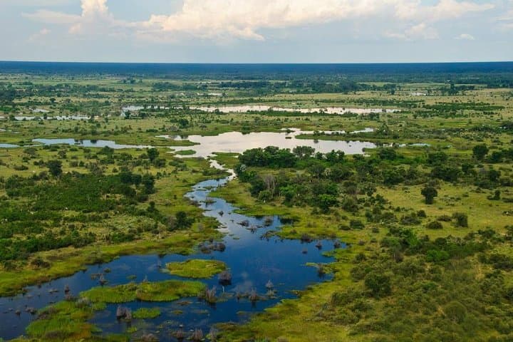 Victoria Falls to Okavango Delta: 8-Day Safari via Chobe & Mokoro photo 1