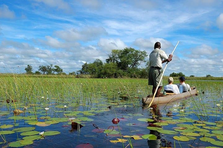 Victoria Falls to Okavango Delta: 8-Day Safari via Chobe & Mokoro photo 2