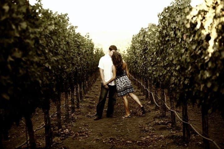 Private Napa & Sonoma Sprinter Van Charter: Wine Country Limo Service photo 4