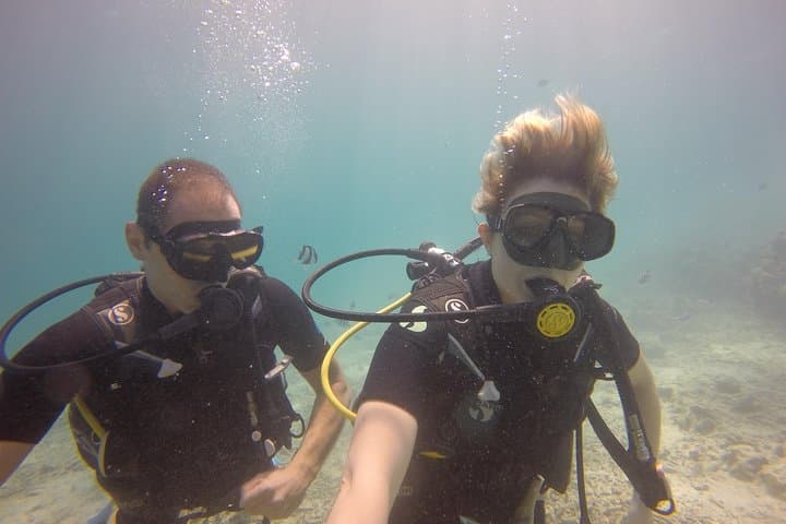Mauritius Exploration Dives — Blue Bay Reefs & Southeast Wrecks photo 4