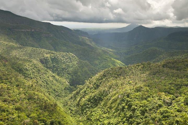 Wild South Mauritius: Full-Day Tour to Bois Chéri, Rhumerie St Aubin & Gris-Gris Cliffs photo 5