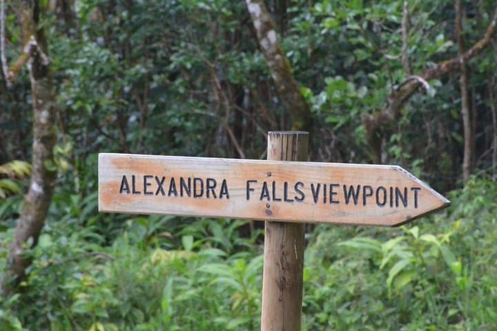 Exotic South Mauritius Full-Day Nature Tour — Trou aux Cerfs, Chamarel & Ebony Forest photo 5