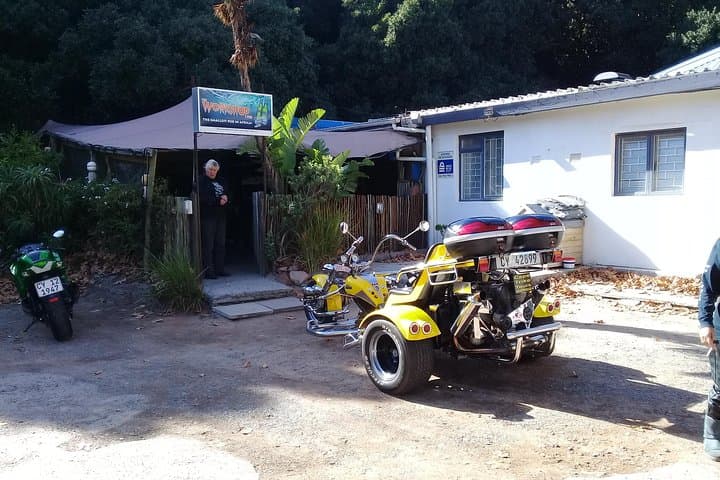 Cape Town Coastal Trike Pub Crawl — Booze Cruise Trike Tour Guide photo 2
