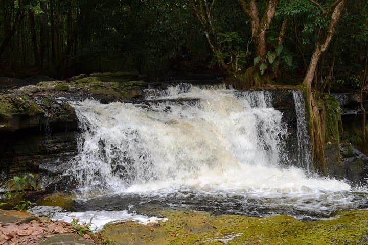 Presidente Figueiredo Waterfalls & Cave Day Trip from Manaus photo 4