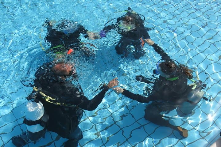 Paphos Roman Wall Discover Scuba Diving — Half-Day Beginner Dive photo 5