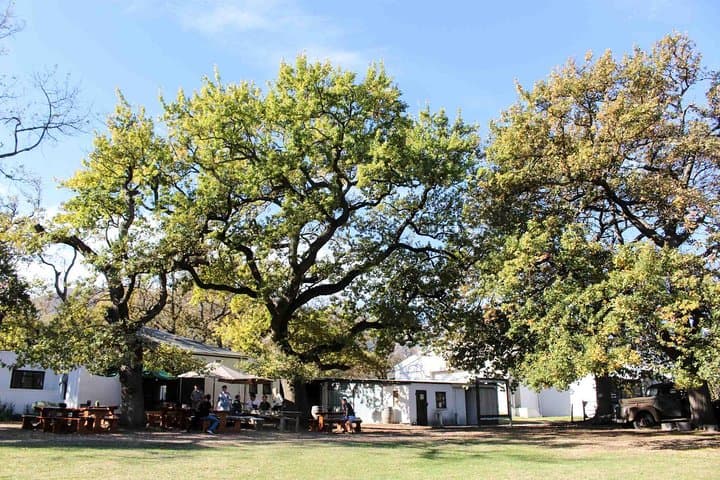 Private Stellenbosch & Franschhoek Winelands Day Tour from Cape Town photo 6