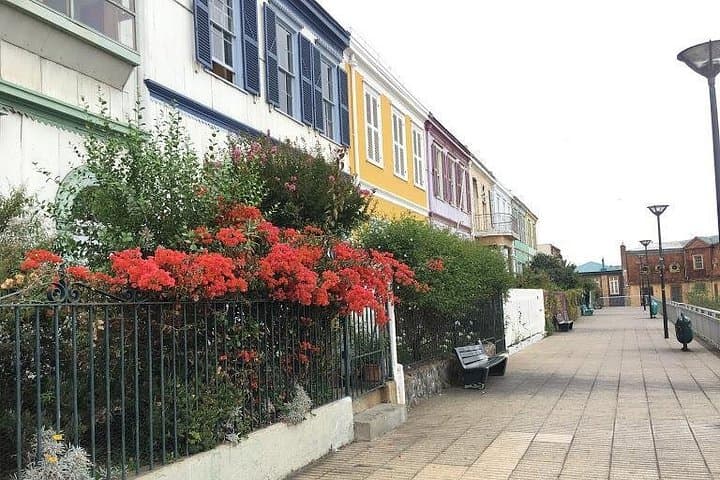 Valparaíso to Viña del Mar Day Trip: Coastal Hills, Murals & Neruda's House photo 3