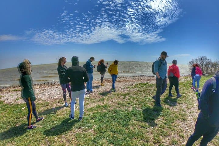 Danube Delta & Dobrogea Daytrip: Enisala Fortress, Razim Lakes & Dolosman photo 5