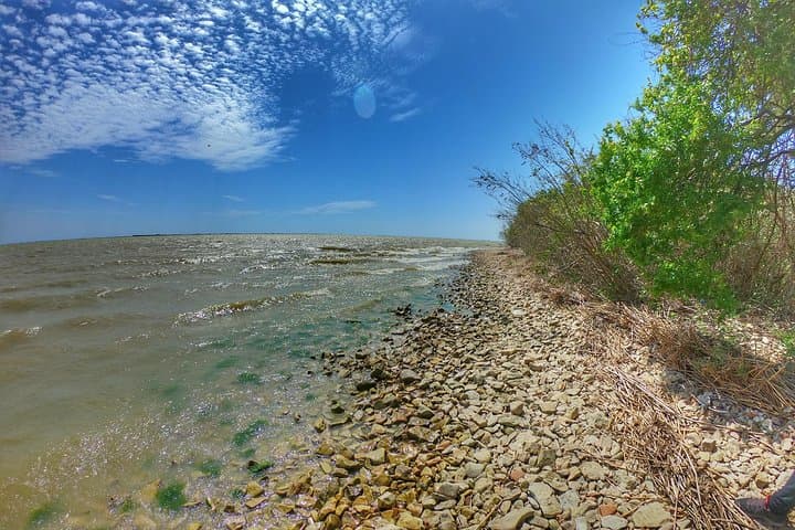 Danube Delta & Dobrogea Daytrip: Enisala Fortress, Razim Lakes & Dolosman photo 6