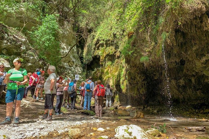 Walking the Amalfi Iron Valley: Valle delle Ferriere Private Nature Tour photo 6