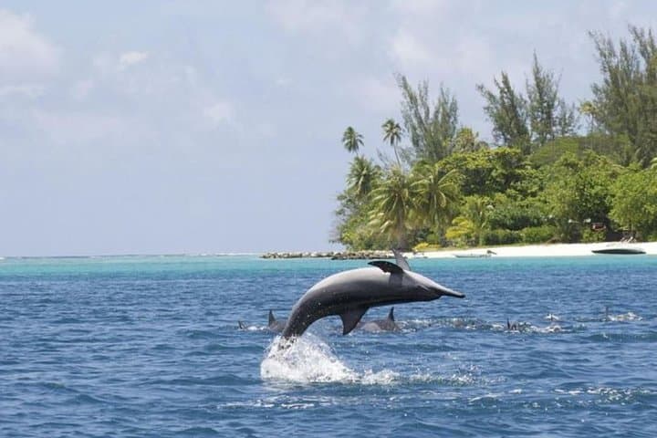 Private Speed Boat Charter in Destin: Captained 8-Hour Coastal Adventure photo 4