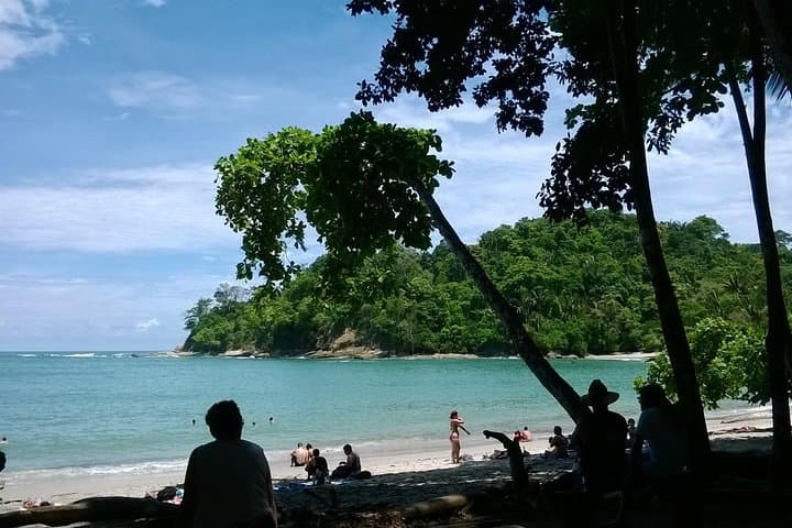 Manuel Antonio National Park Day Trip: Beaches, Wildlife & Rainforest Trails photo 5