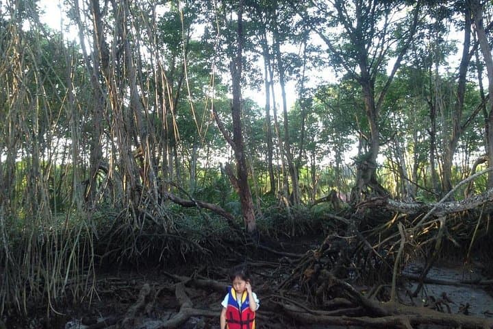 Bandar Seri Begawan Night Tour: Proboscis Monkeys, Kampong Ayer & Gadong Market photo 1