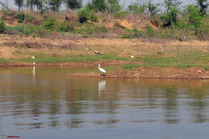 Sohna Hills & Damdama Lake Boating Day Tour from Delhi photo 6