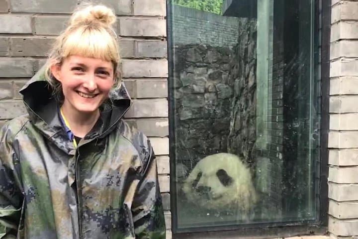 Dujiangyan Panda Volunteer Experience with Lunch — Behind-the-Scenes Panda Care from Chengdu