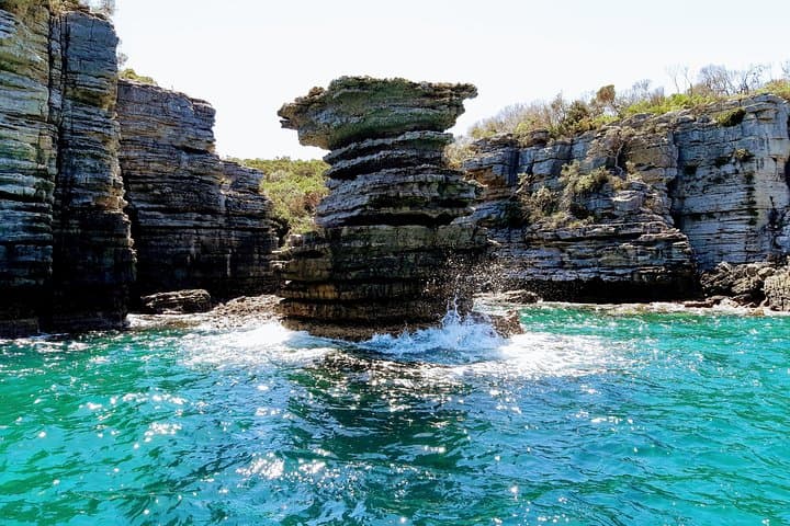 Jervis Bay Passage Tour — Hyams Beach, Point Perpendicular & Dolphin Watching Cruise photo 6