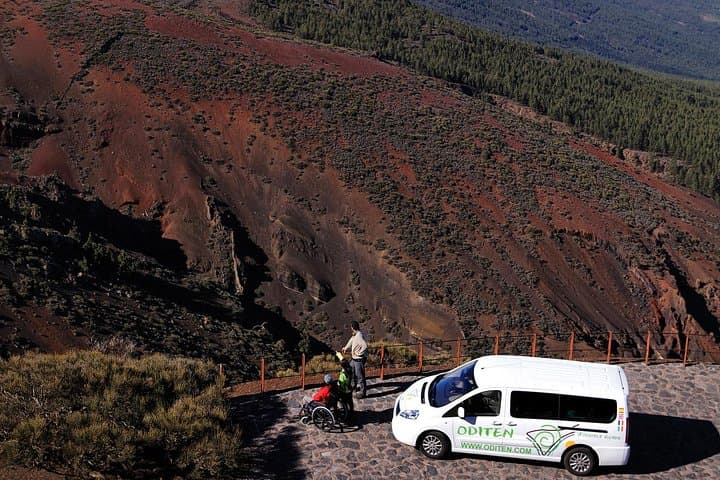 Private Teide & North Tenerife Tour — Explore Teide National Park in Half Day