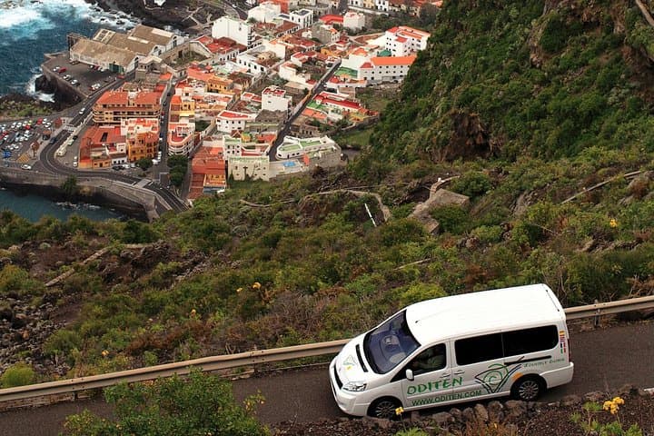 Private Teide & North Tenerife Tour — Explore Teide National Park in Half Day photo 3