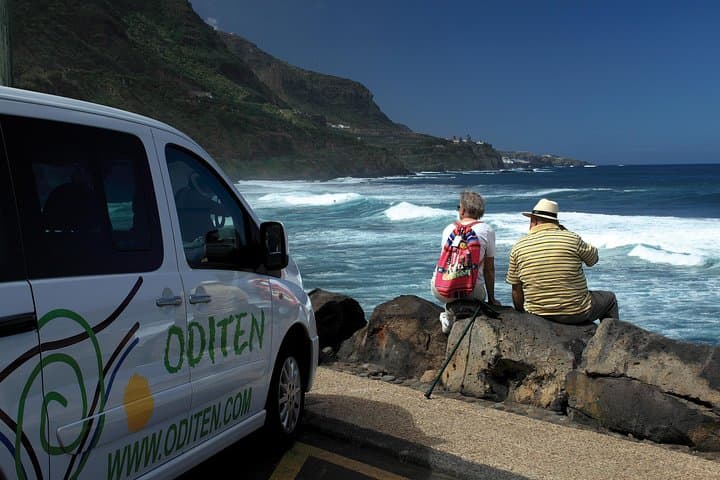 Private Teide & North Tenerife Tour — Explore Teide National Park in Half Day photo 4