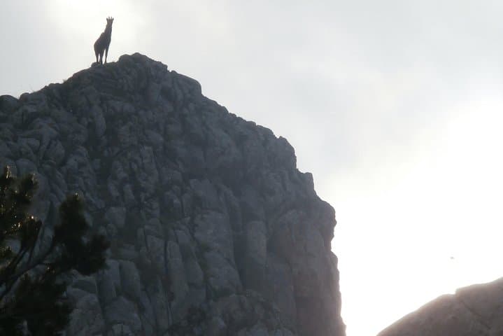 4-Day Pirin Trek: Hike Vihren, Bunderishki Lakes & Melnik Wine photo 3