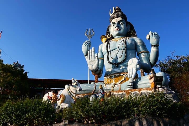 Trincomalee Half-Day City Tour: Koneswaram Temple, Fort Frederick & Nilaveli Beach