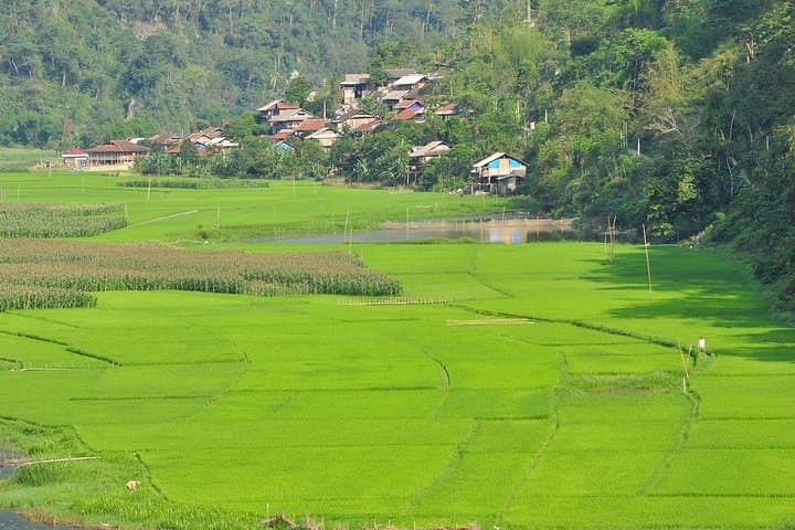 3-Day Trekking in Ba Be National Park: Lake, Caves & Minority Villages photo 6