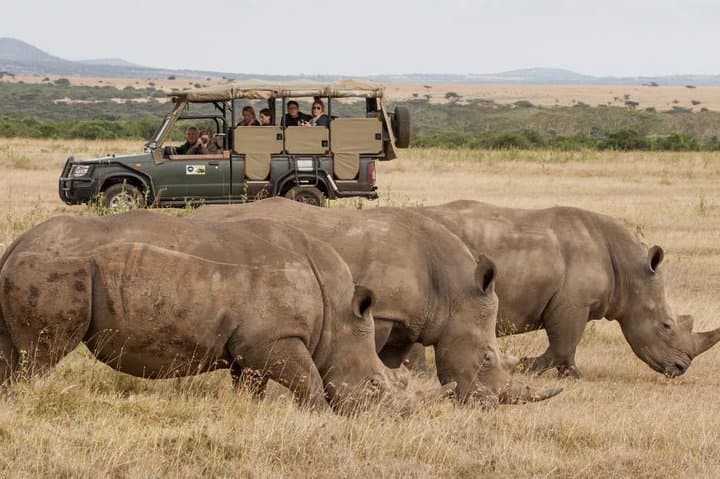 5-Day Ol Pejeta & Samburu Safari — Rhinos, Chimps and Samburu Culture photo 5