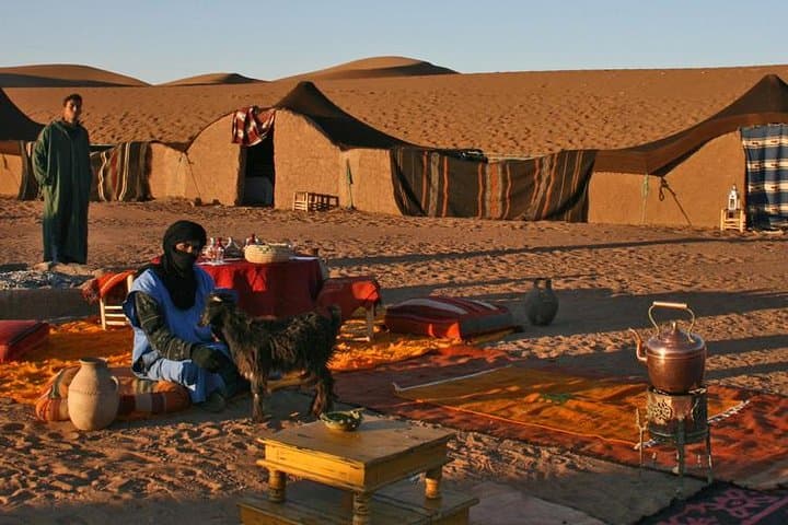 Overnight Zagora Desert Bivouac from Marrakech — 2-Day Sahara Excursion photo 3