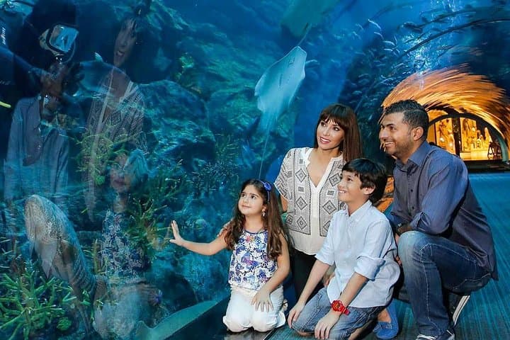 Dubai in Four Hours: City Highlights and Dubai Aquarium Underwater Zoo photo 1