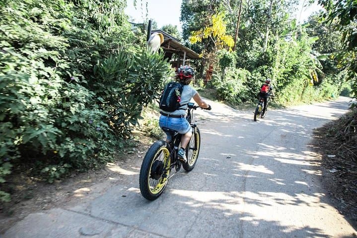 Half-Day E‑Bike Ride Through Chiang Mai Rice Paddies & Ping River photo 5