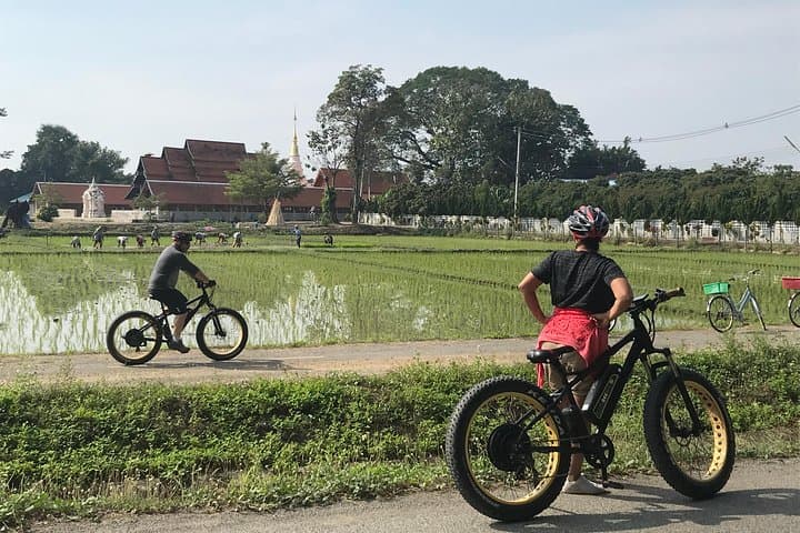 Half-Day E‑Bike Ride Through Chiang Mai Rice Paddies & Ping River photo 6