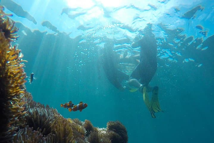 Explore Tunku Abdul Rahman: Guided Snorkeling Day Trip from Kota Kinabalu photo 6