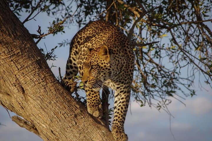 2-Day Lake Nakuru Safari: Flamingos, Rhinos & Rift Valley Views photo 4