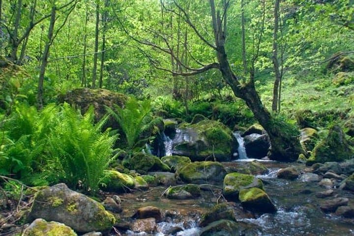 Multi-Day Trekking Tour in Georgia: Prometheus Caves, Martvili Canyon & Mtirala photo 2