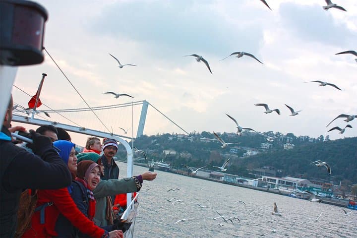 Morning Bosphorus Cruise: 2-Hour Istanbul Strait Sail