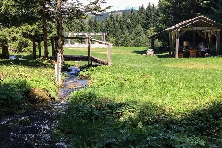 Skakavac Waterfall Hike from Sarajevo — 98m Cascade, Ozren Ridges & Forest Trails photo 5