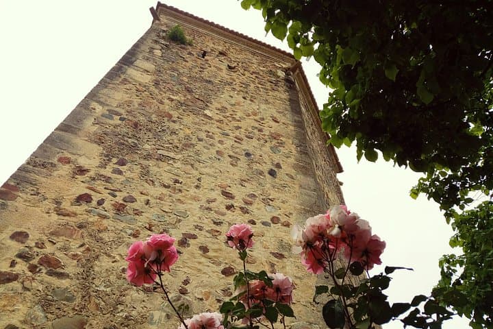 Day Trip to Tomar: Knights Templar, Convent of Christ & Almourol Castle from Lisbon photo 4
