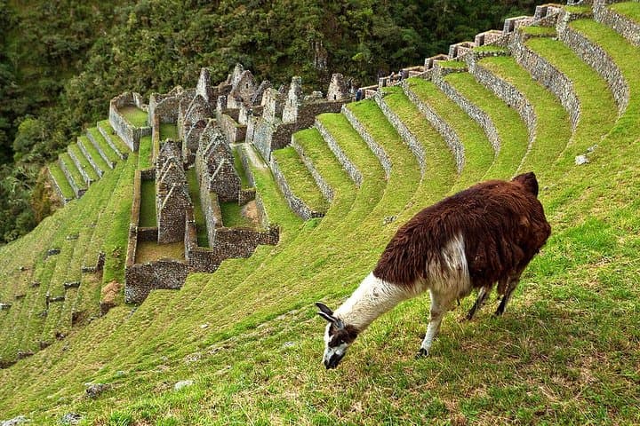 Short Inca Trail to Machu Picchu: 2-Day Private Trek and Train Combo photo 4